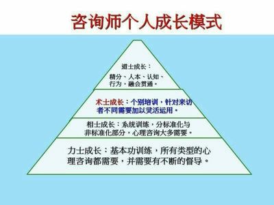 心理愛好者、咨詢師與非專業(yè)學員 在技術(shù)咨詢浪潮中的定位與前景